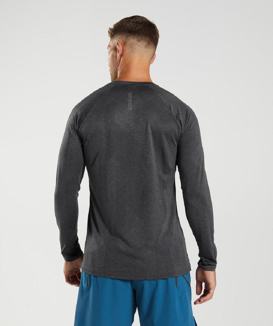 Long Sleeve Męskie Gymshark Apex Czarne Szare | PL 3661OKI